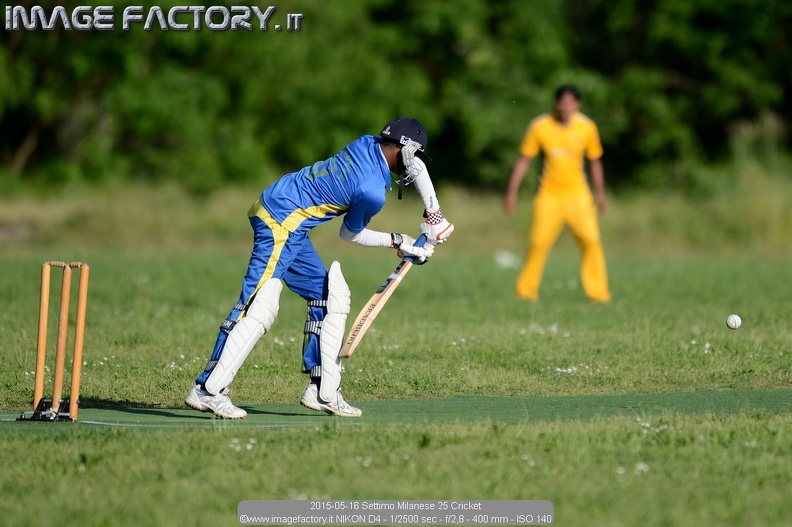 2015-05-16 Settimo Milanese 25 Cricket.jpg